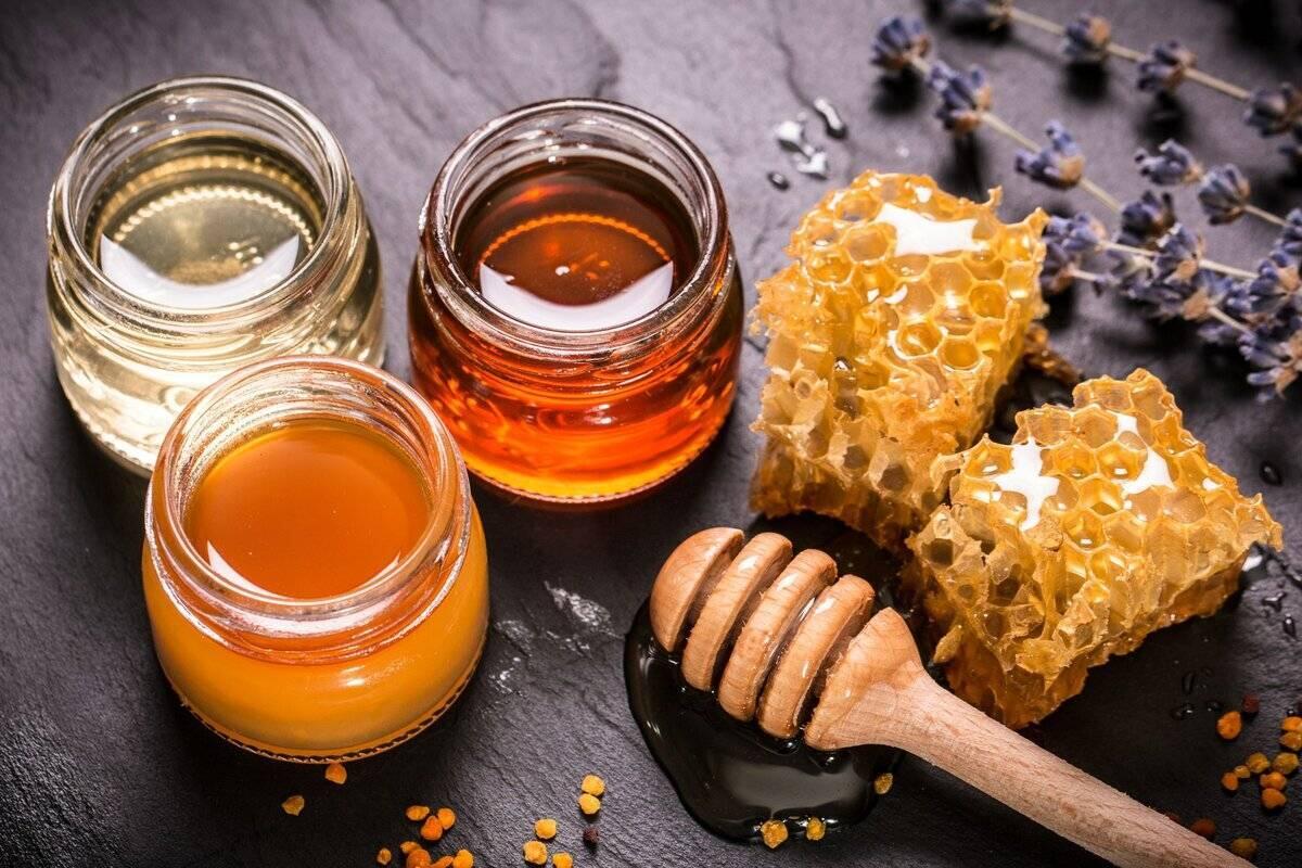 Новые правила ветсанэкспертизы меда